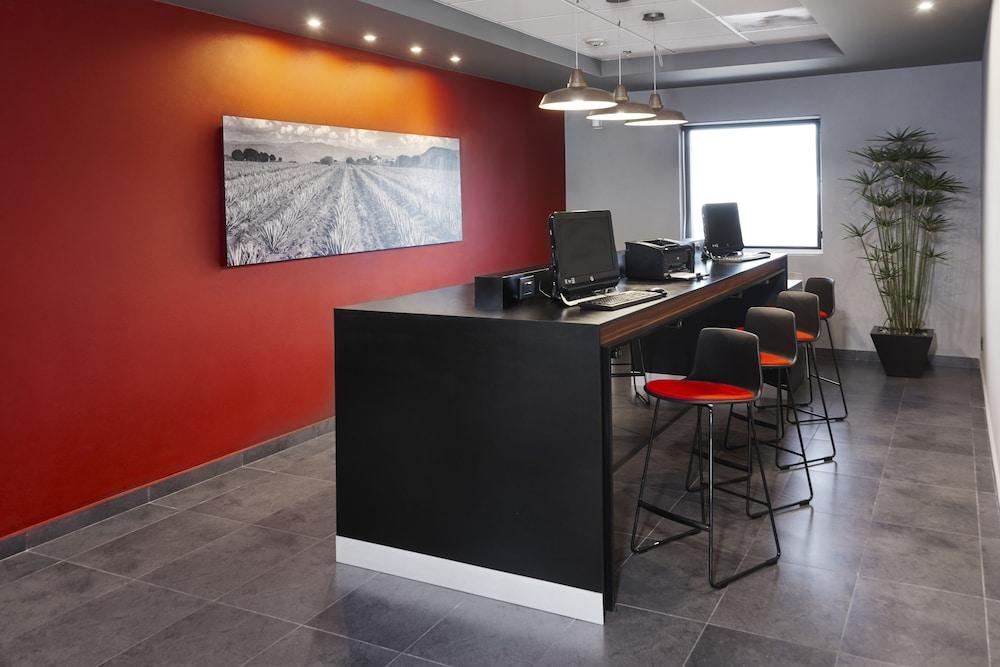 City Express Plus By Marriott Guadalajara Expo Zapopan Eksteriør billede